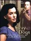 Stray Dogs