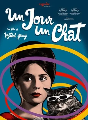 Un Jour un chat