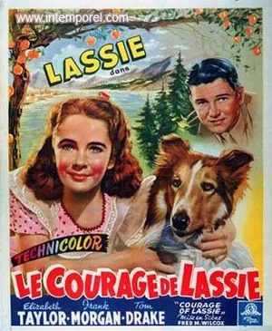 Le Courage de Lassie