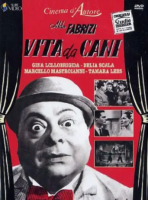 Vita da cani