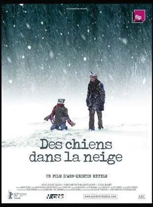 Des chiens dans la neige