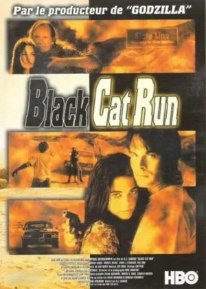 Black Cat Run