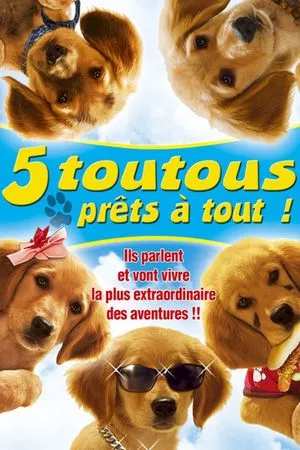 5 Toutous Prêts à Tout