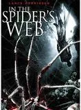 In the Spider's Web