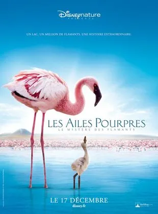 Les Ailes pourpres : le mystère des flamants