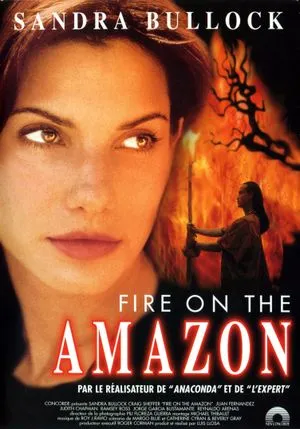 Fire on the Amazon