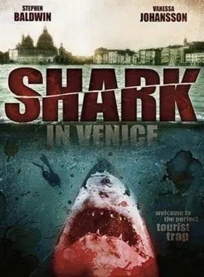 Shark In Venice