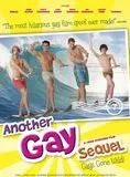 Another Gay Sequel: Gays Gone Wild!