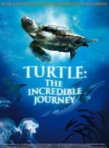 Turtle: The Incredible Journey