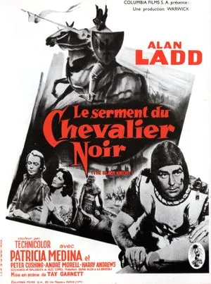 Le serment du chevalier noir