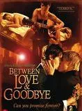 Between Love & Goodbye