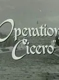 Operation Cicero