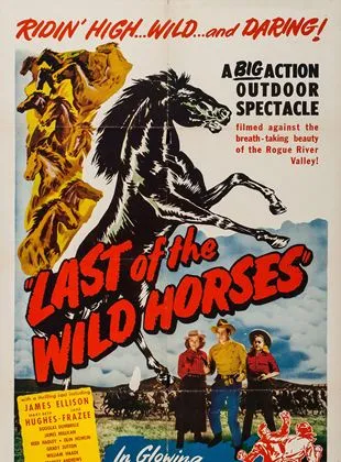 Last of the Wild Horses