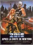 2019 après la chute de New York