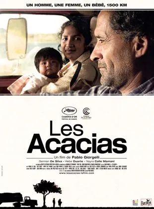 Les Acacias