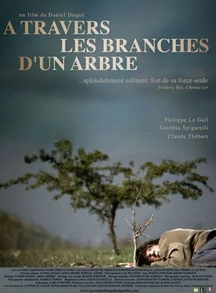 A travers les branches d'un arbre