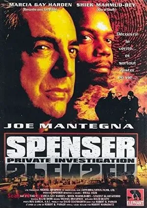 Spenser Private Investigation