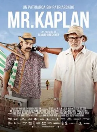 Mr. Kaplan