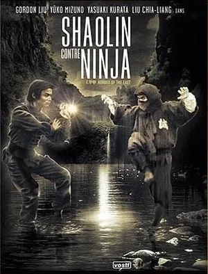 Shaolin contre Ninja