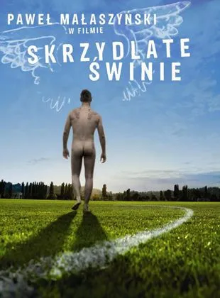 Skrzydlate swinie