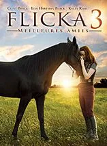 Flicka 3 : Meilleures amies