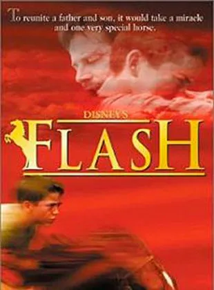 Flash