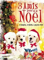 3 Amis pour Noël