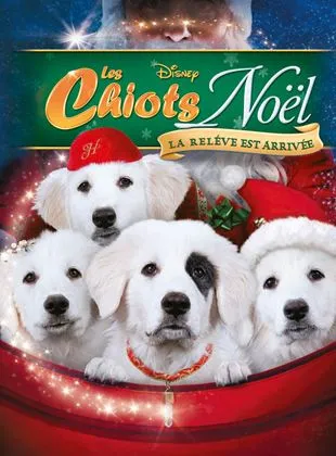 Les Chiots Noël, la relève est arrivée