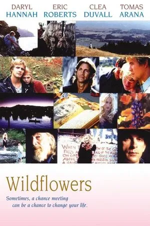 Wildflowers