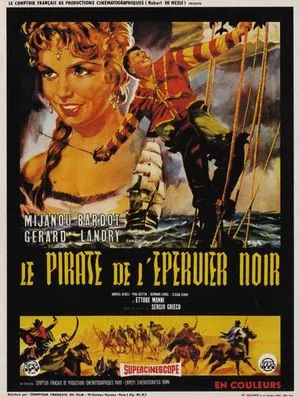 Le Pirate de l'épervier noir