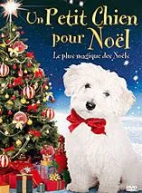 Un Petit chien pour Noël