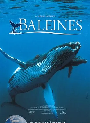 Baleines