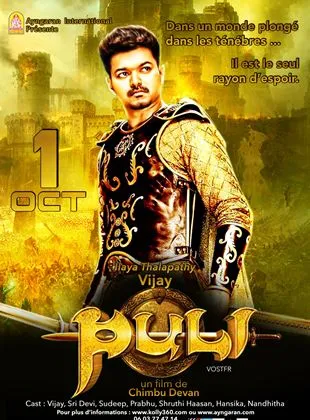 Puli