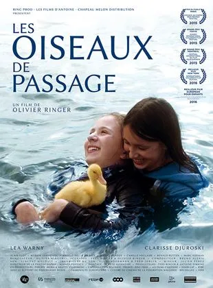 Les Oiseaux De Passage