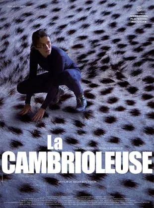 La Cambrioleuse