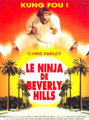 Le Ninja de Beverly Hills