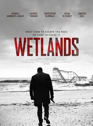 Wetlands