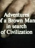 Adventures of a Brown Man in Search of Civilization