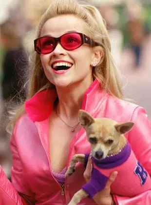 Legally Blonde 3