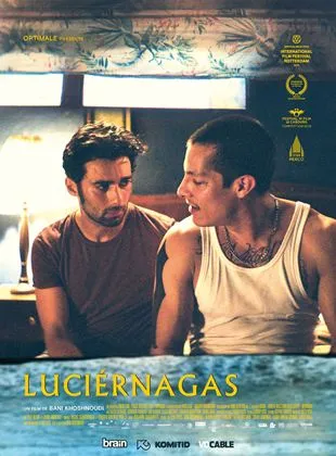 Luciérnagas