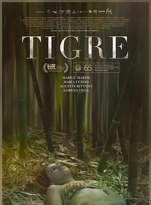 Tigre