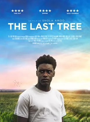 The Last Tree