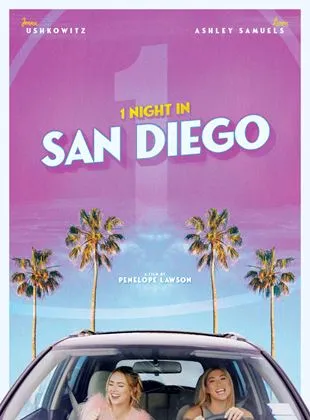 1 Night In San Diego