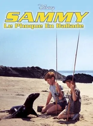 Sammy, le phoque