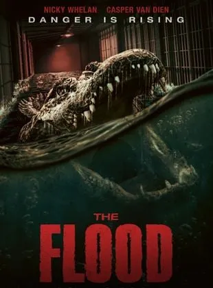 The Flood