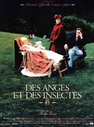 Des anges et des insectes