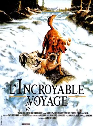 L'Incroyable Voyage