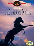 L'Etalon noir