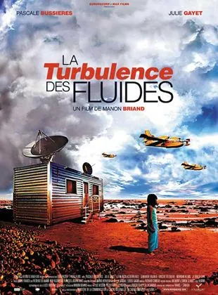 La Turbulence des fluides