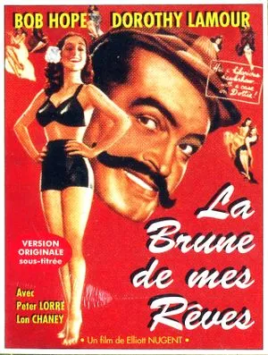 La Brune de mes rêves